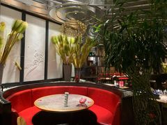 老板恋上鱼-老板恋上鱼(恒隆广场店)