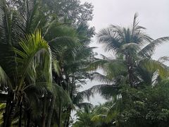 -三亚湾海居铂尔曼度假酒店