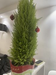 -春田皮肤管理中心品牌旗舰店