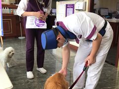 -宠爱国际动物医院· 猫科· 外科·中兽医(长白店)
