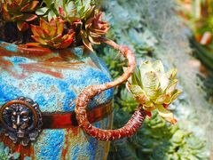 -上海辰山植物园