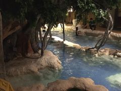 -中铁花水湾四季温泉谷