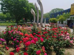 -太阳宫公园