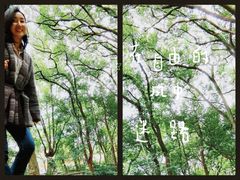 -上海佘山国家森林公园天马山园