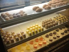 -爱乐国际温泉水疗会