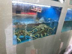 -启东海鲜人家(古美路店)
