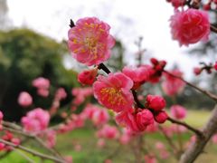 -花溪公园