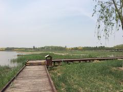 -西青郊野公园