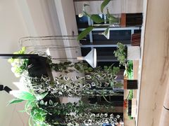 -比格比萨自助(宋家庄店)