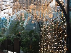-ATLAS COFFEE(雅居乐中心店)