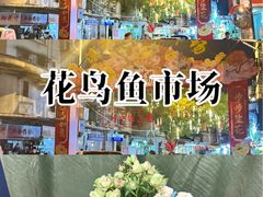 -溪岸路花鸟市场