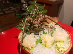 -初花·日本料理