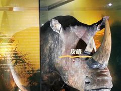 -广东中医药博物馆