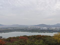 -羊山湖公园