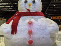 -宁波冰雪大世界(北仑区)