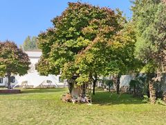 -味多美蛋糕(航天桥店)