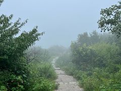 -北京西山国家森林公园