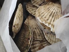 -瑶记海鲜餐厅(西涌店)