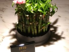 -初蓉丨遇见新川菜(亲贤街荣耀店)