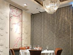 -新同乐鱼翅酒家(美丽华店)