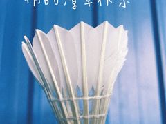 -V7动力羽毛球会馆