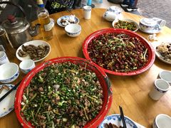 尖椒兔-东吴霸王兔(松青路店)