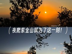 -紫金山山顶公园
