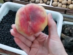 -新疆红山干果市场
