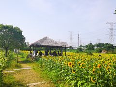 -上海杨姆庄园
