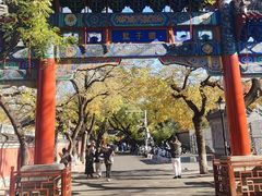-北京国子监胡同