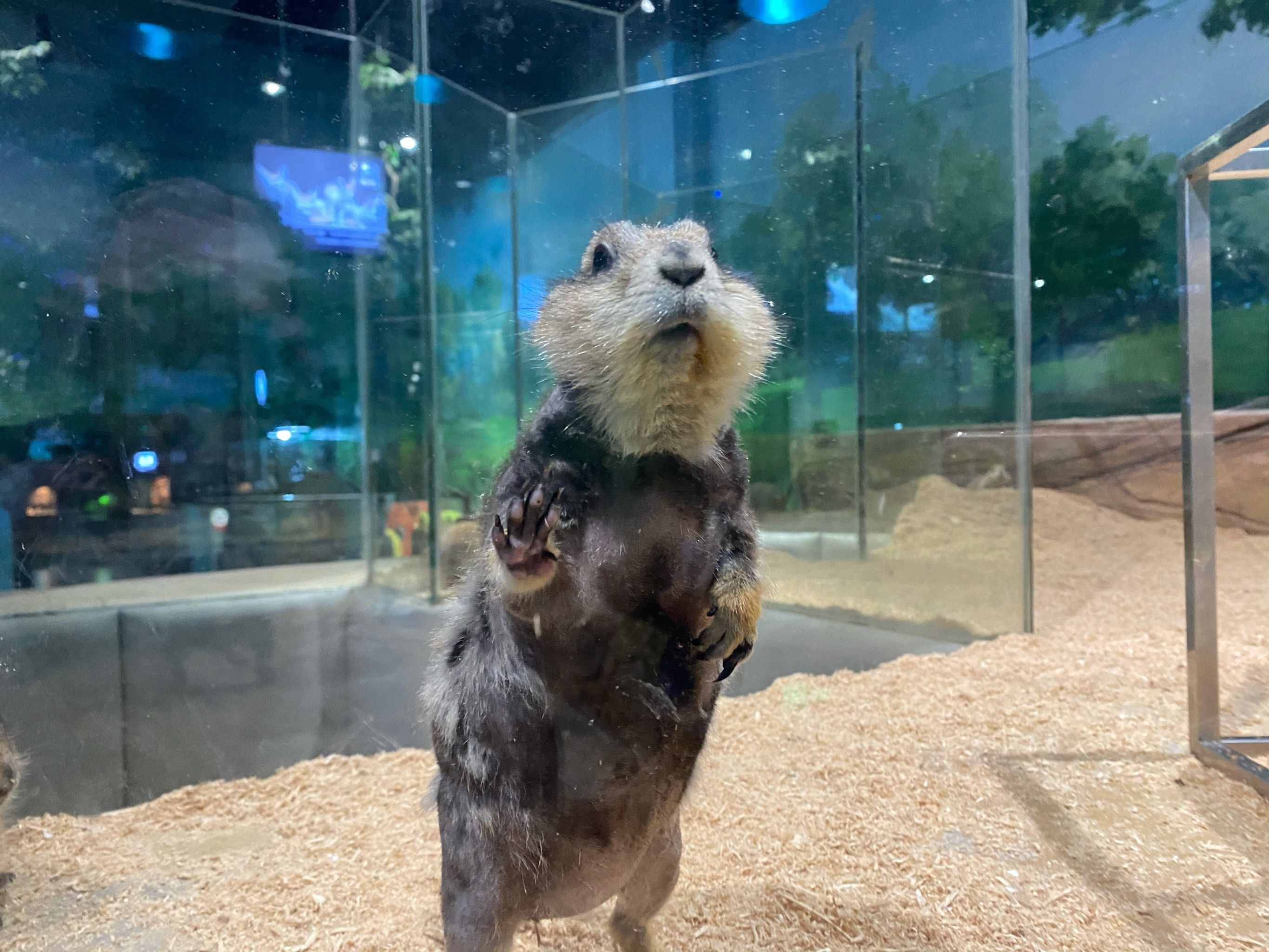 湘潭九华多乐城