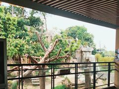 -宁波野生动物园