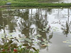 -蔡家宅