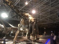 -世界恐龙谷景区