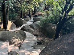 -火炉山森林公园