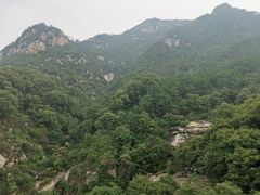 -素心缘素食文化主题餐厅