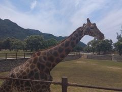 -西安秦岭野生动物园