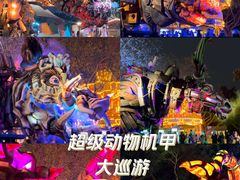 -广州长隆欢乐世界