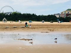 -日照海滨国家森林公园