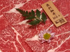 -龙酒场·关西寿喜烧·居酒屋(罗湖店)