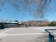 -滨河世纪广场公园