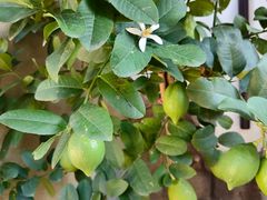 -青岛遇见米兰(八大关店)