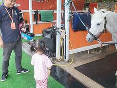 -名驭国际马术学院