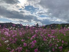 -可可托海景区