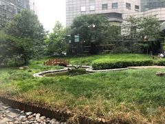 -星巴克(北京西大望路温特莱店)