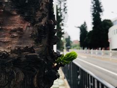 -铁路文化公园