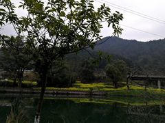 -上坦村