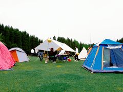 -武陵山森林公园