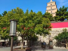 -大慈恩寺(大雁塔)