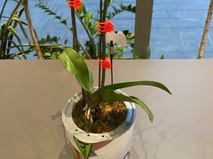 -Seesaw Coffee(苏州中心店)